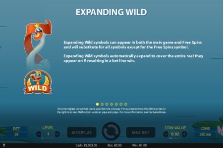 Expanding Wild rules