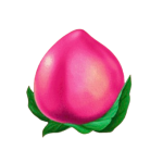 Symbol