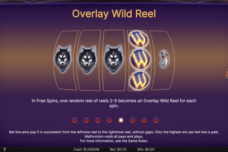 Overlay Wild Reel