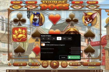 Autoplay feature