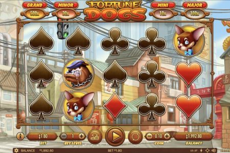Slot reels
