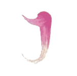 Símbolo