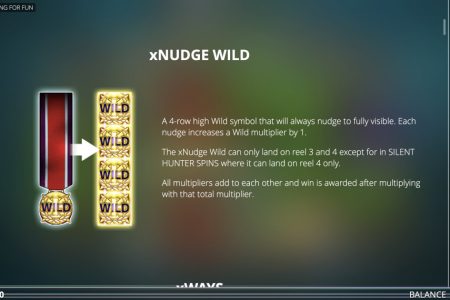 xNudge Wild