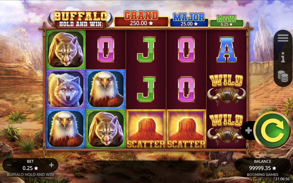 Buffalo Hold and Win Demo