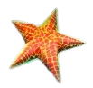  Símbolo
