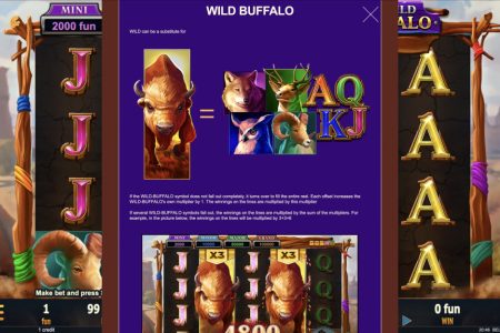 Wild Symbols